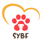 sybf logo